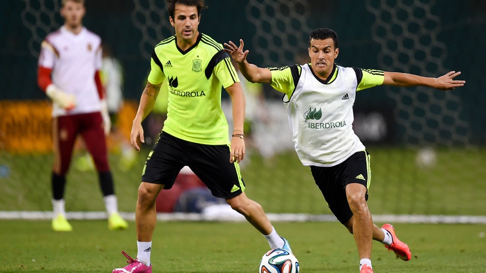 فرانسسک فابرگاس|تمرین پر از انگیزه سسک فابرگاس در این جلسه.