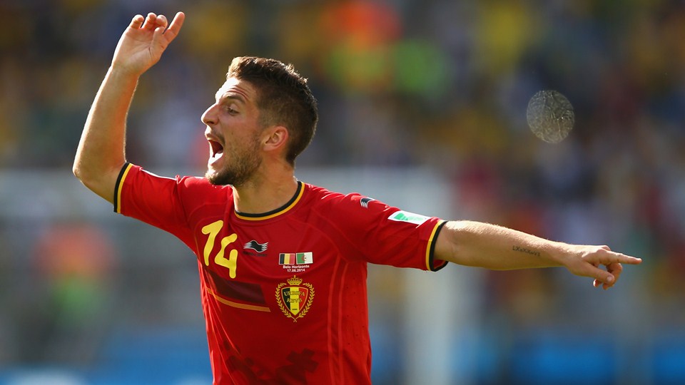 درایس مارتنس|جشن درایس مارتنس بعد از گلزنی برای تیم کشورش ، بلژیک.