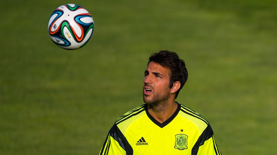فرانسسک فابرگاس|تمرین تیم ملی اسپانیا