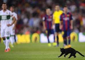 ورود گربه به داخل زمین|بارسلونا 3-0 الچه /  لالیگا