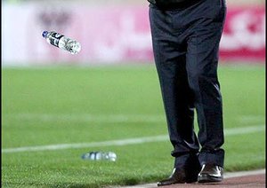 امیر قلعه نویی