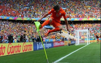 شادی پس از گل نجات‌دهنده لاله‌ها به سبک فان خال و دی‌یونگ+تصاویر