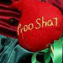 محمد امین حیدری