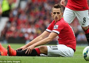 عدنان جانیوزاج