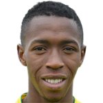 بیراما توره/اوسر /فرانسه / باشگاهی / مردان (241)/33