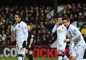 رادامل فالكائو