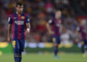 ورود گربه به داخل زمین