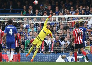 مارتن استکلنبرگ