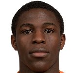 کوفی سارکودی/تِرِلِبورگ اِف اِف / / باشگاهی / مردان (5996)/34