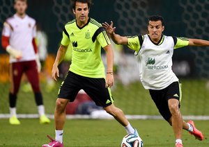 فرانسسک فابرگاس