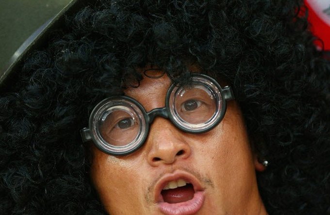 هوادار ژاپنی