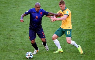 مصدومیت دی یانگ تأیید شد