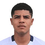 ویلدِر خوزه کارتاگِنا مِندوزا/آلیانزا لیما /پرو / باشگاهی / مردان (3010)/31