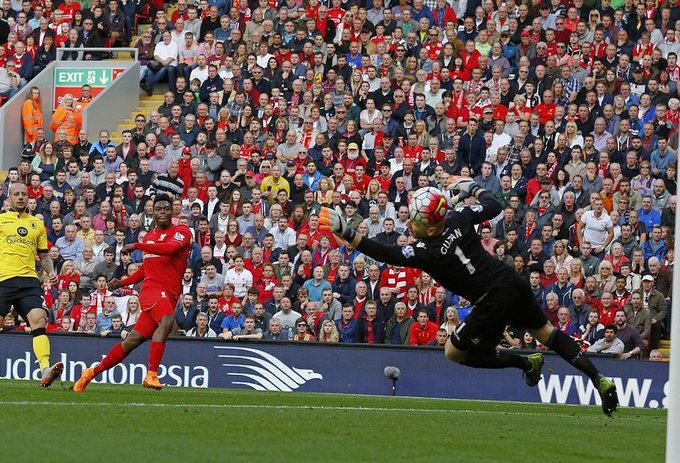 دنیل استوریج