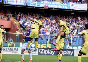 داویده سانتون