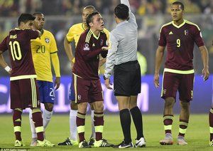 لوئیس سِیجاس