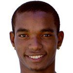 تیاگو هنریکه مندز ریبریو/المپیک لیون  /فرانسه / باشگاهی / مردان (197)/33