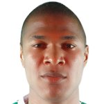 Alexis Héctor Henríquez Charales/اتلتیکو ناسیونال /کلمبیا / باشگاهی / مردان (1372)/42