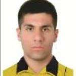 محمد مهدی فرامرزی/پدیده شهر خودرو /ایران / باشگاهی / مردان (1074)/31