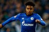 An American Dream in Germany - Meet future US superstar Weston McKennie