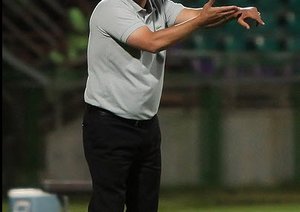 امیر قلعه نویی