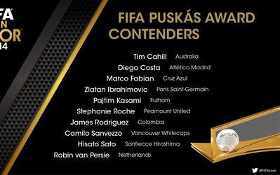 سایت فیفا اعلام کرد / فهرست اولیه زیباترین گل سال 2014