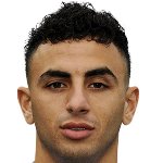 میمون اِلوویشجِری/None/36