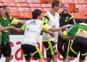 ویسنته دل بوسکه