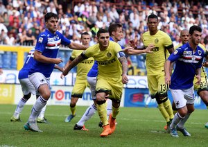 مائورو ایکاردی