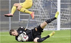 ترجمه روز | تمجید سایت سوییسی از دانیل داوری