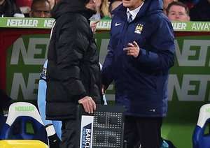 مانوئل پلگرینی