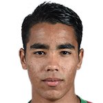 پدرو میگوئل گومز دلگادو/شاندونگ لوننگ /چین / باشگاهی / مردان (542)/28