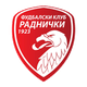 اِف کِی رادنیاکی 1923 کراگویواتس / / باشگاهی / مردان (5324)