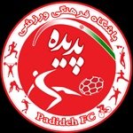 کاپیتان پدیده: در حد پرسپولیس توانایی داریم