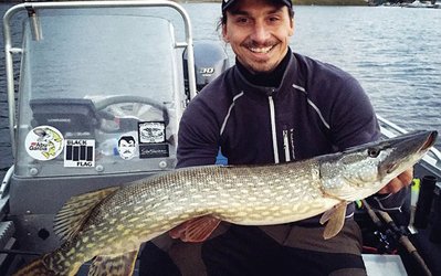 "زلاتان ابراهیموویچ" ماهیگیر می‌شود