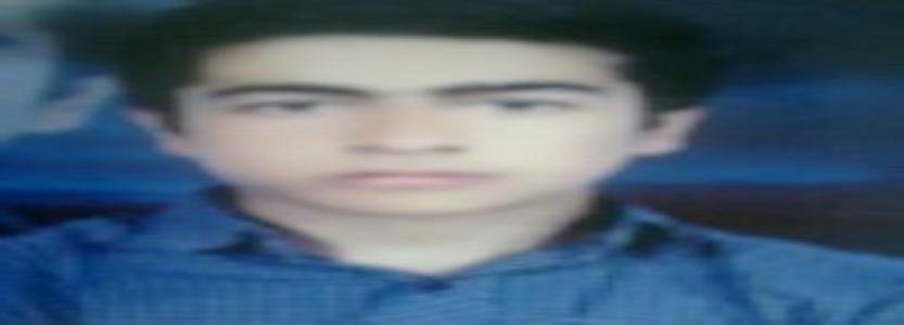 محمد شادپور