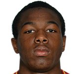 آدام ترائوره دیارا/ولورهمپتون /انگلستان / باشگاهی / مردان (701)/29