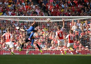 رادامل فالكائو