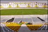 درخواست الشرطه عراق برای بازی در ورزشگاه غدیر