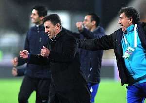 امیر قلعه نویی