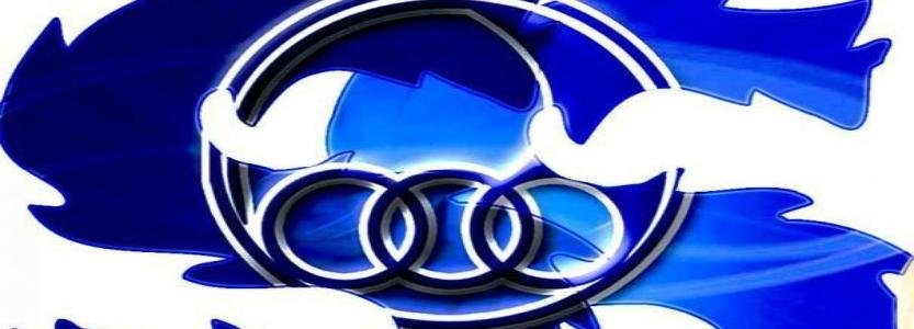 امیر محمدیان