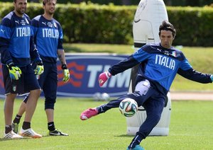 جیانلوئیجی بوفون