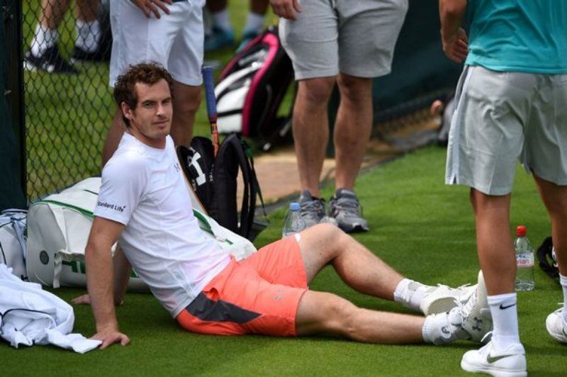 wimbeldon andu murry.jpg