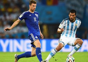 ادین ژکو - گارای