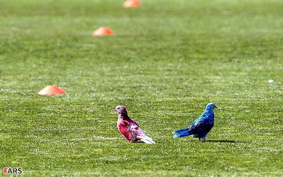 عکس روز | ستاره‌های یک ده پیش دربی