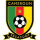 کامرون / ملی / مردان (330)