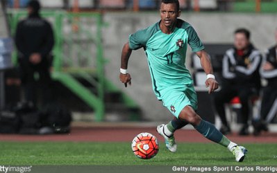 انتقاد نانی از لوئیس فان خال