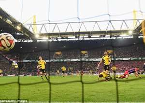 رومن وایدنفلر