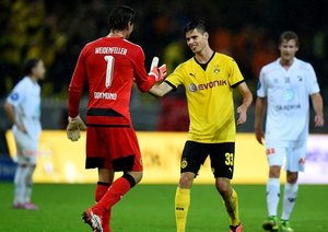 رومن وایدنفلر