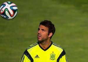 فرانسسک فابرگاس